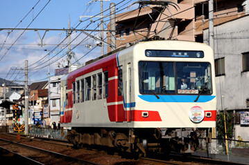 rie21331