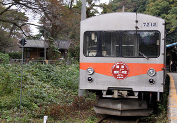rie1552.jpg