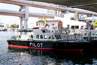 rie17323
