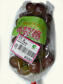 rie11873.jpg