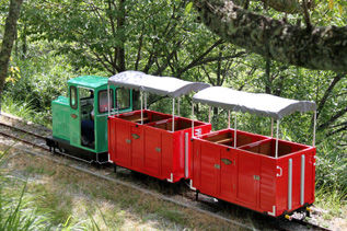 rie3783.jpg