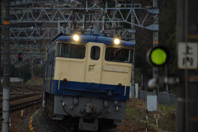 rie804.jpg