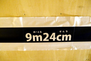 rie16698