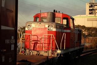 rie12377.jpg