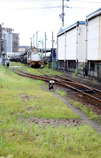 rie5276.jpg
