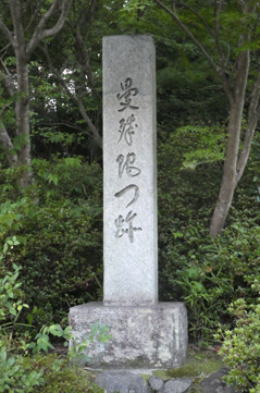 rie20554