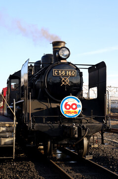 rie21233