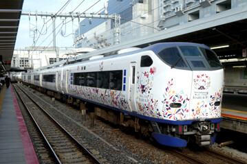 rie21224