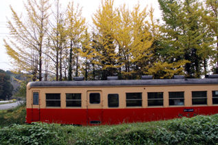 rie2798.jpg