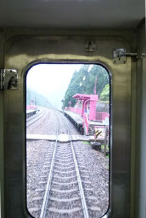 rie8439.jpg
