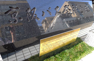rie15337