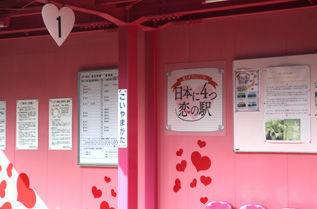 rie7070.jpg