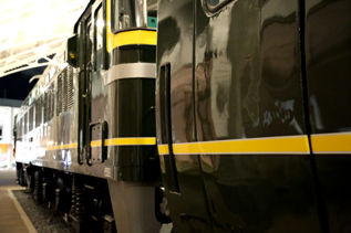 rie16381