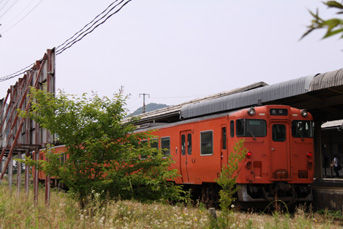 rie2290.jpg