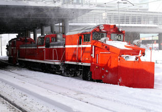 rie14390.jpg