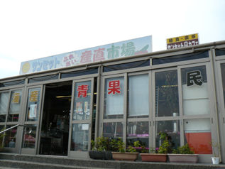 rie10917.jpg
