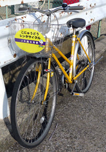 rie13453.jpg