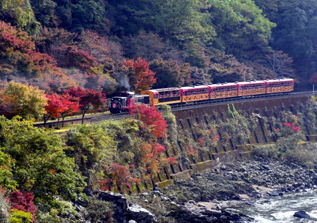rie14190.jpg