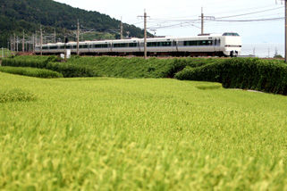 rie5154.jpg