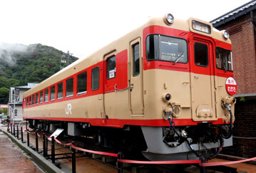 rie29524