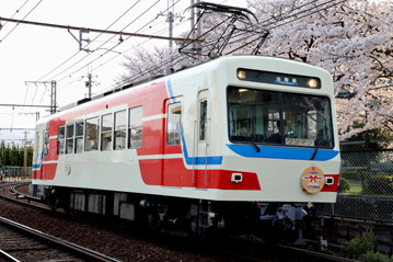 rie19564