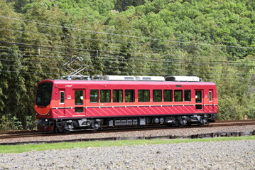 rie23036