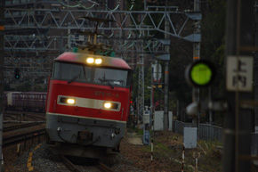 rie803.jpg