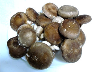 rie9915.jpg