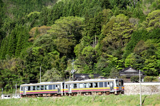 rie15173.jpg