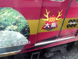 rie13060.jpg