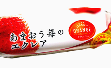 rie21572