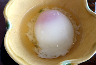 rie18536
