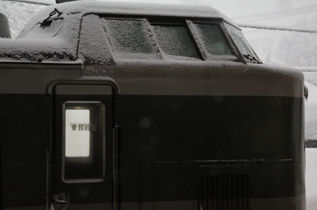 rie10170.jpg