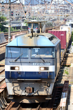 rie22986