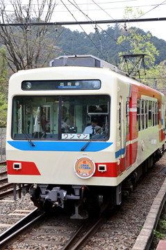 rie19597