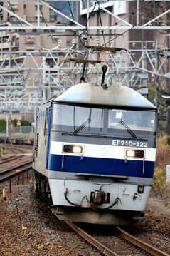 rie21490