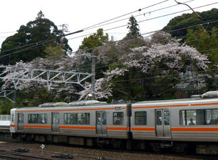 rie12751.jpg