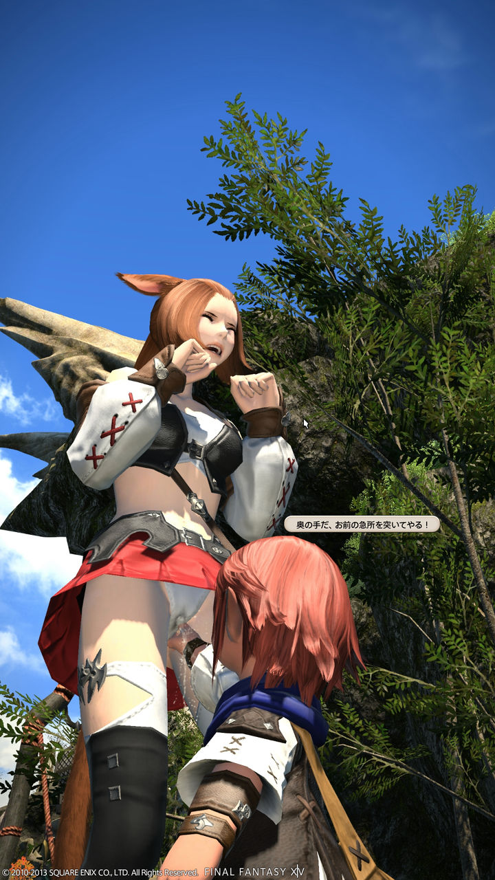 ff14   エロ加工 FF14】少しエッチなSS集【其ノ壱】 : FinalFantasy XIV -JPN ADVANTURE-