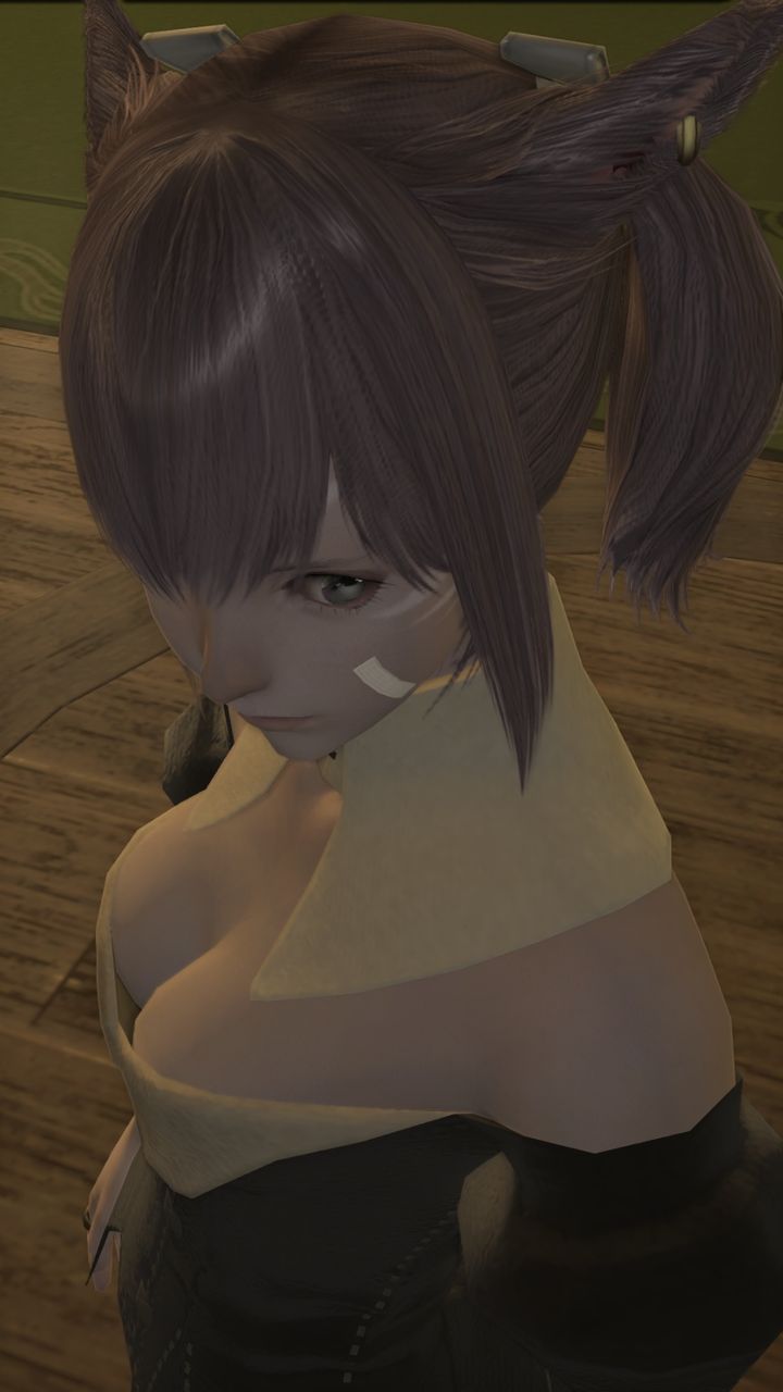 ff14　加工　エロ­ ミコッテ 