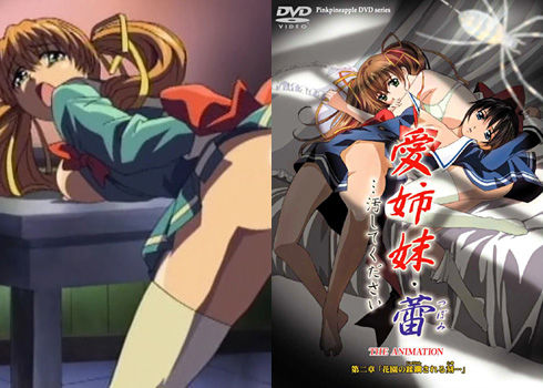 愛姉妹 蕾 汚してください 第二章 花園の蹂躙される刻 一番抜けるエロアニメ動画