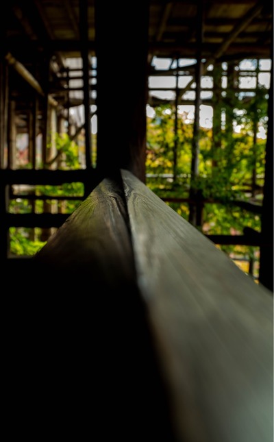 IMG_3376