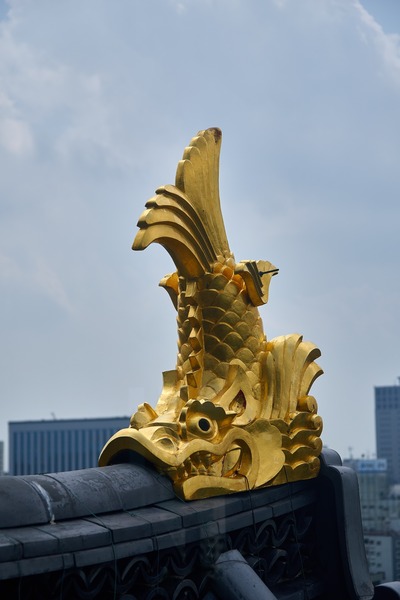 [画像:6450f4bd-s.jpg]