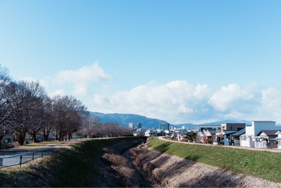 IMG_8595