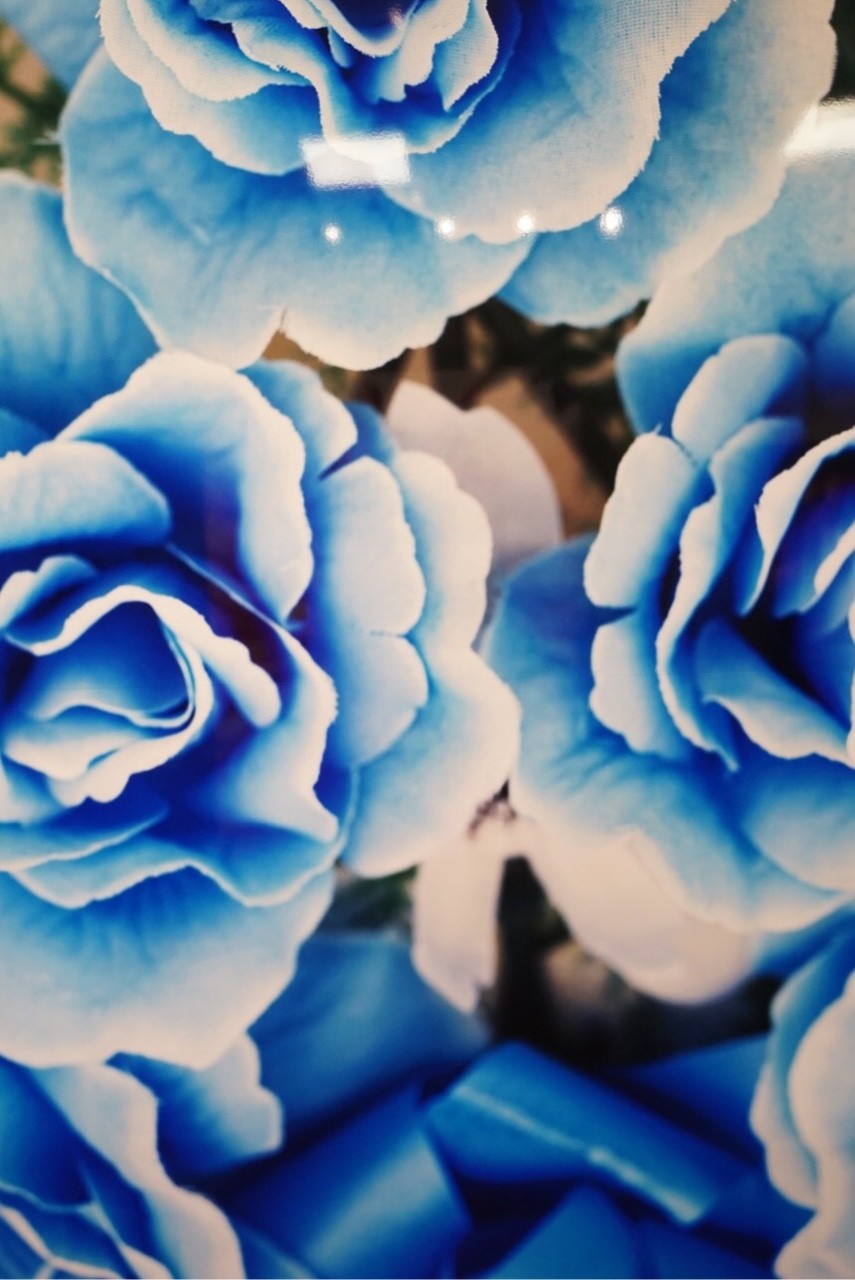 蜷川実花 写真展 喫茶店ーrigel リゲル