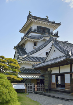 Kochi2