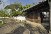 hikone4