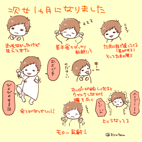 jimusume1