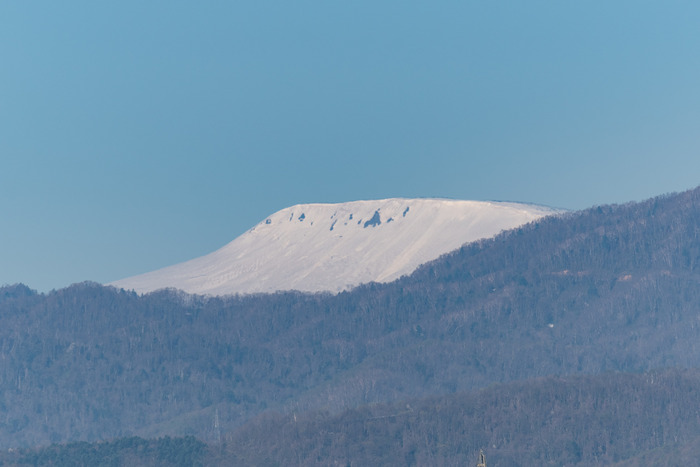 DSC_0448