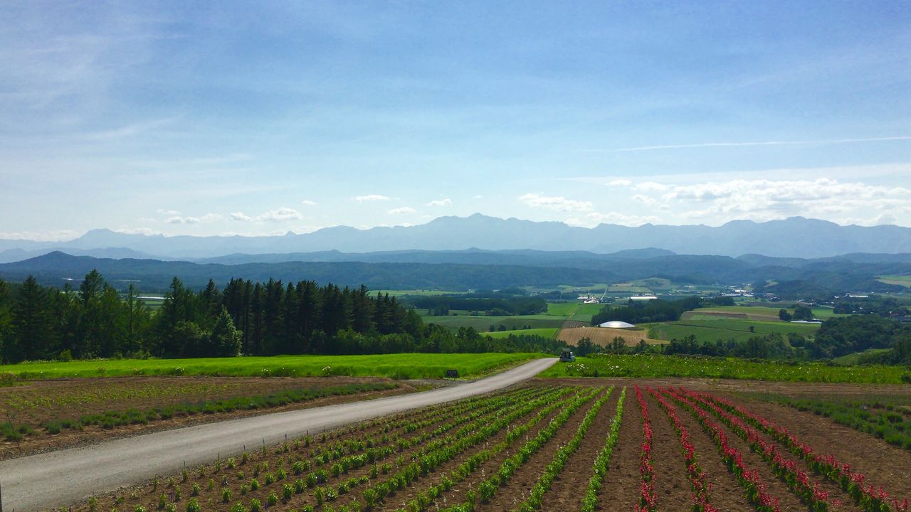 夕張山地が一望できる場所 北海道 山巡りの記録