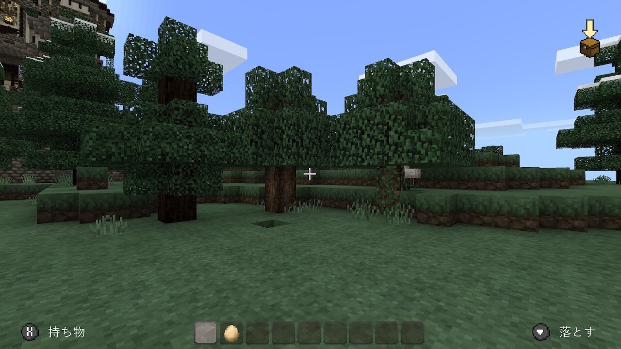 とりざんまい Riiiのマイクラ建築 とりざんまい Riiiのマイクラ建築